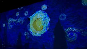 Step inside Vincent van Gogh?s paintings