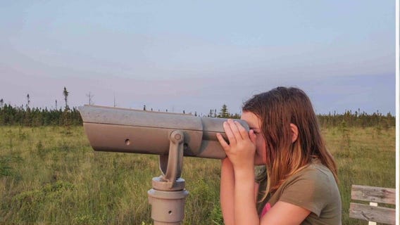 Off the beaten path -- 4 MN State Parks you should check out from DayTripper