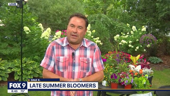 Late summer bloomers to refresh your garden
