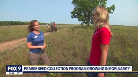 The seed hunt begins