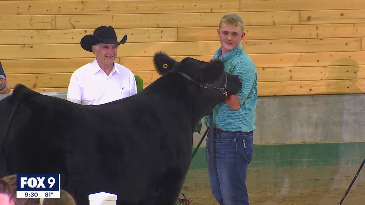 Fewer 4-H'ers staying overnight at state fairgrounds amid COVID-19 concerns