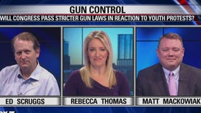 FOX 7 Discussion: Will Congress Pass Stricter Gun Laws in Reaction to Youth Protests?
