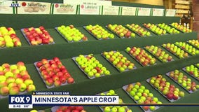 A healthy pit stop at the MN State Fair: Minnesota Apples