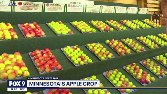 A healthy pit stop at the MN State Fair: Minnesota Apples