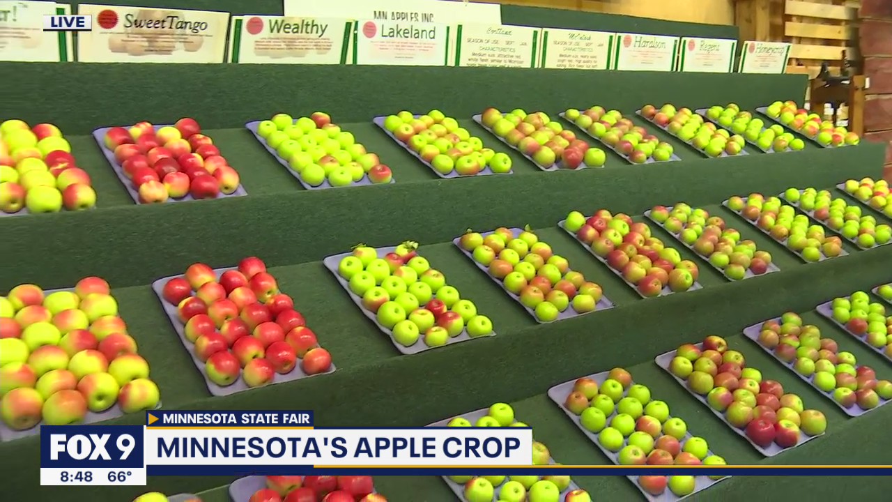 A healthy pit stop at the MN State Fair: Minnesota Apples
