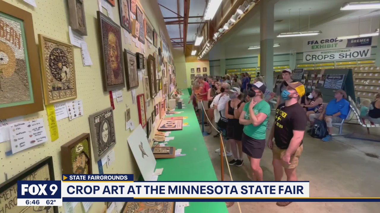 From inception to finished piece: What it takes to create crop art