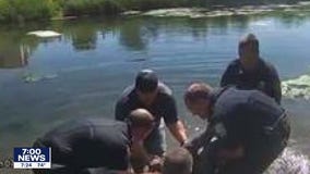 Eagan police rescue driver from sinking car off Hwy. 13