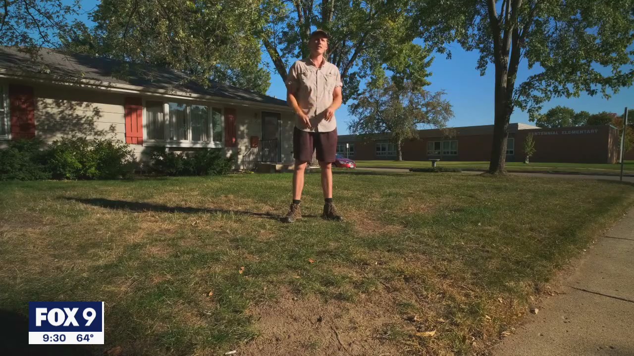 Lawn care expert: Now is the time to prep your drought damaged lawn for next year