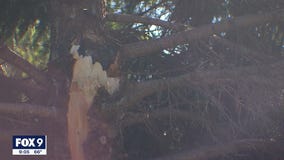 Clean up underway after tornadoes, strong winds move through Twin Cities