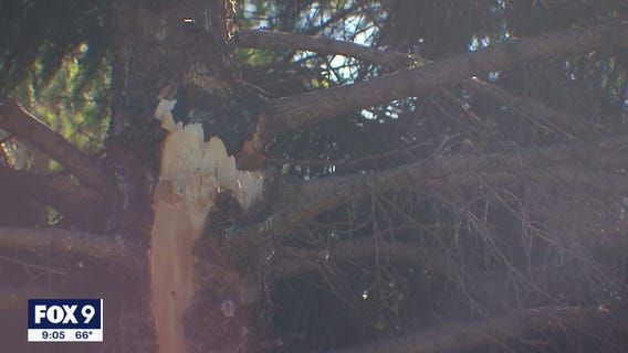 Clean up underway after tornadoes, strong winds move through Twin Cities
