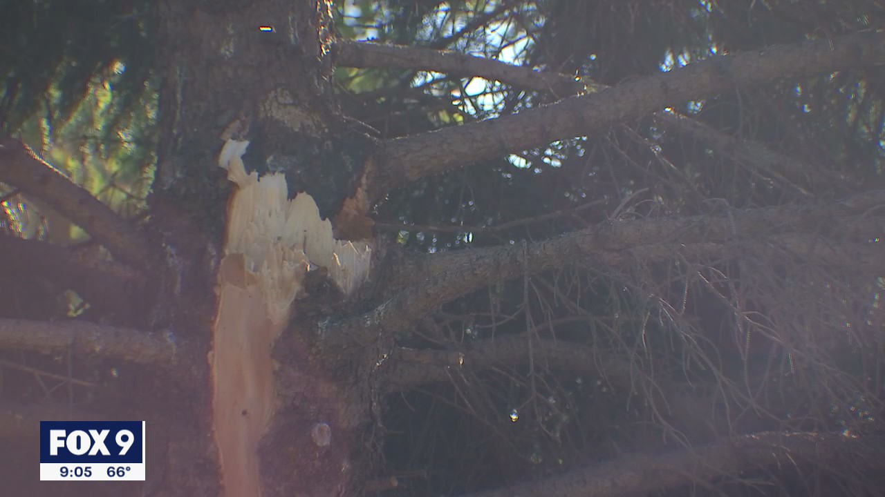 Clean up underway after tornadoes, strong winds move through Twin Cities