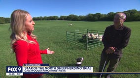 Top dogs descend on Minnetrista