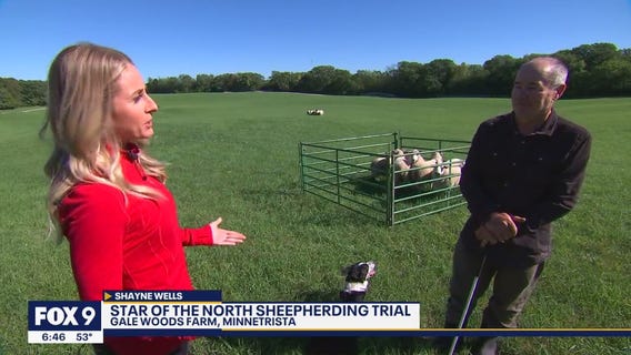 Top dogs descend on Minnetrista