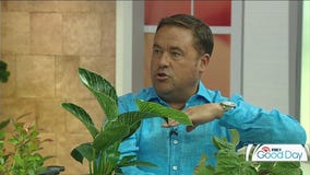 Garden Guy Dale K answers your garden questions