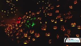 Halloween best bets for families and adults