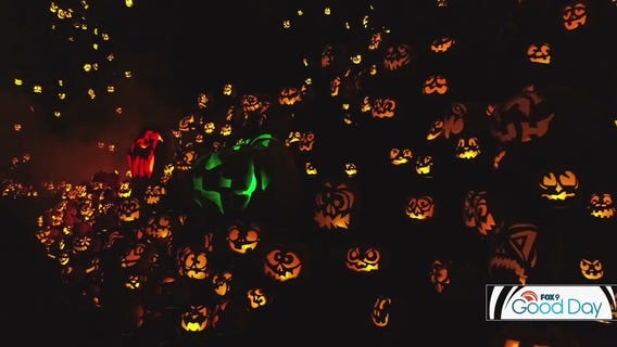 Halloween best bets for families and adults