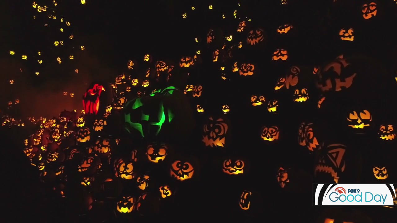 Halloween best bets for families and adults