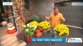 Give your front steps a fall makeover with tips from Garden Guy Dale K