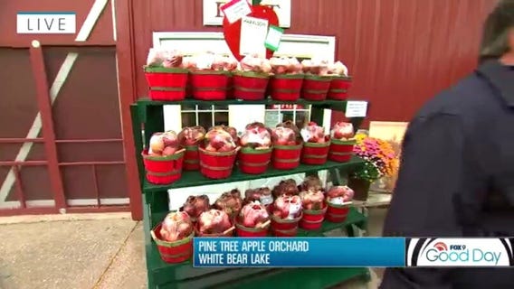 Planning an apple picking adventure with Garden Guy Dale K