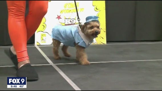 Animal Humane Society gives tips on pet safety during Halloween