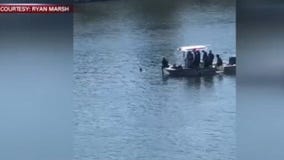 Travis County Sheriff's search for missing swimmer
