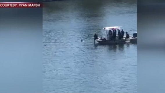 Travis County Sheriff's search for missing swimmer