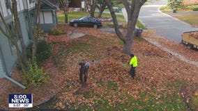 Landscapers rushing to rake up late-falling leaves before collection sites close