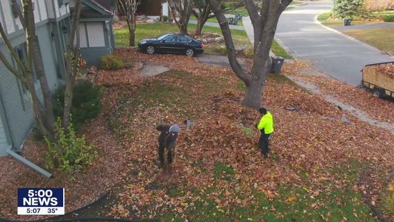 Landscapers rushing to rake up late-falling leaves before collection sites close