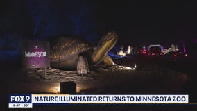 Nature Illuminated returns to Minnesota Zoo