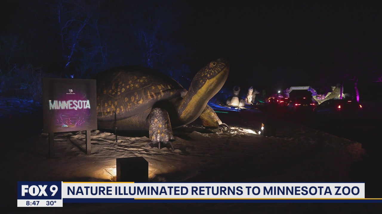 Nature Illuminated returns to Minnesota Zoo