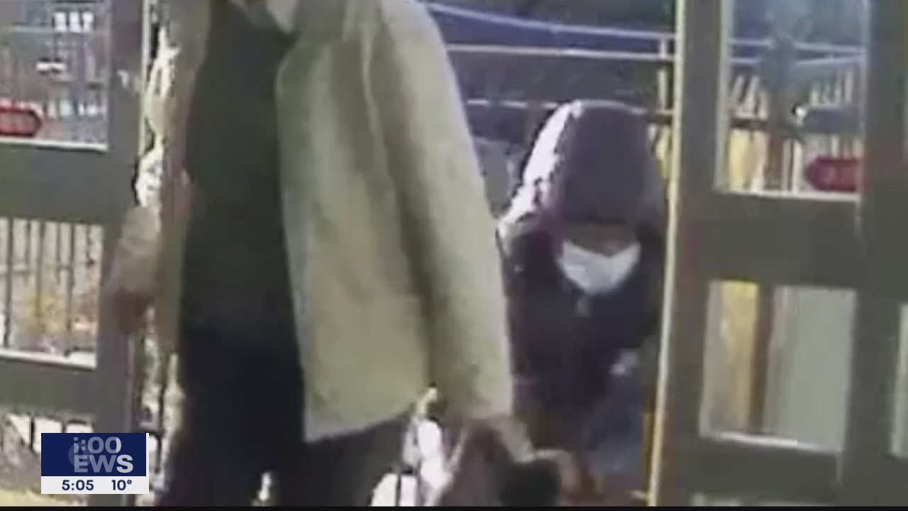 Purse snatcher targeted 81-year-old woman at St. Paul store