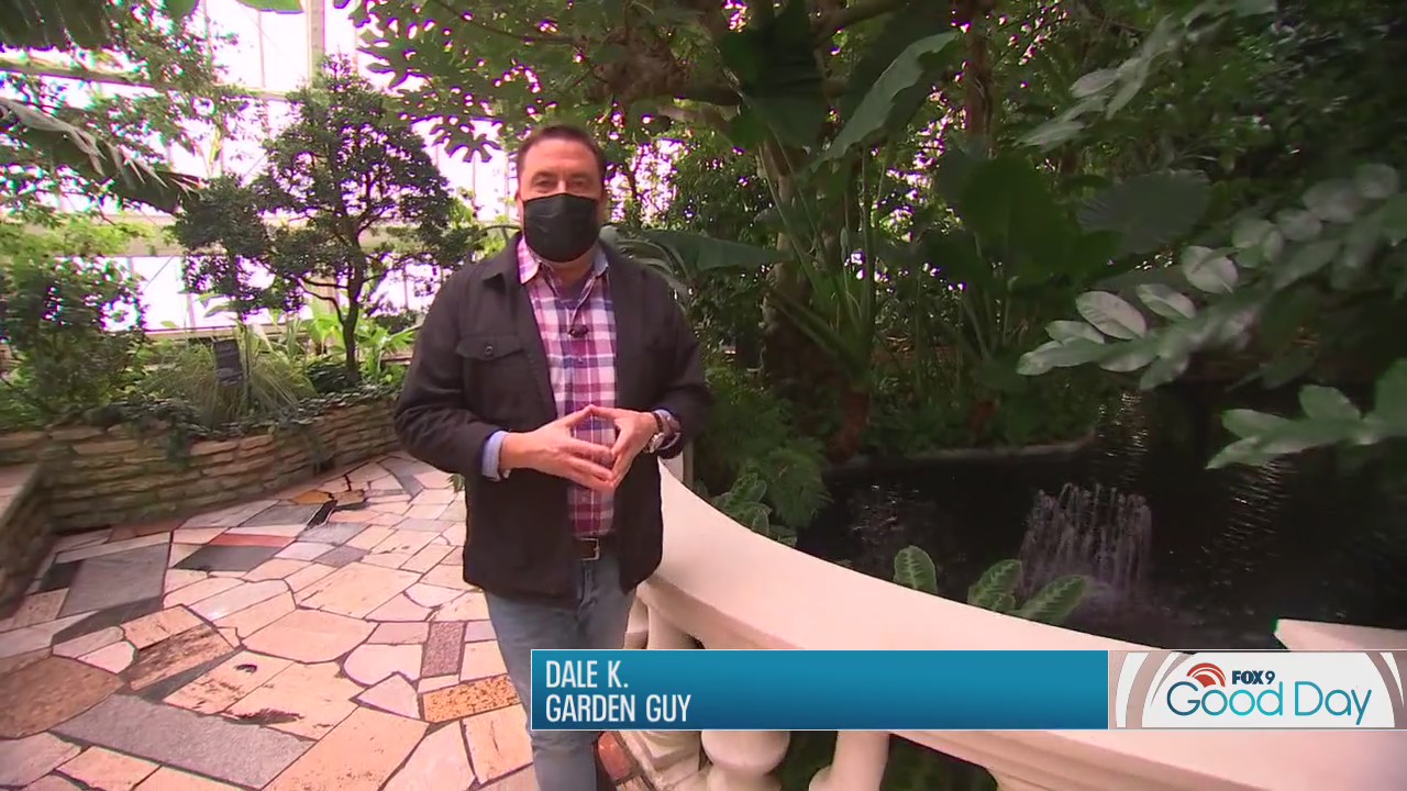 Ready for somewhere warmer? Dale K take us inside his favorite hot spot