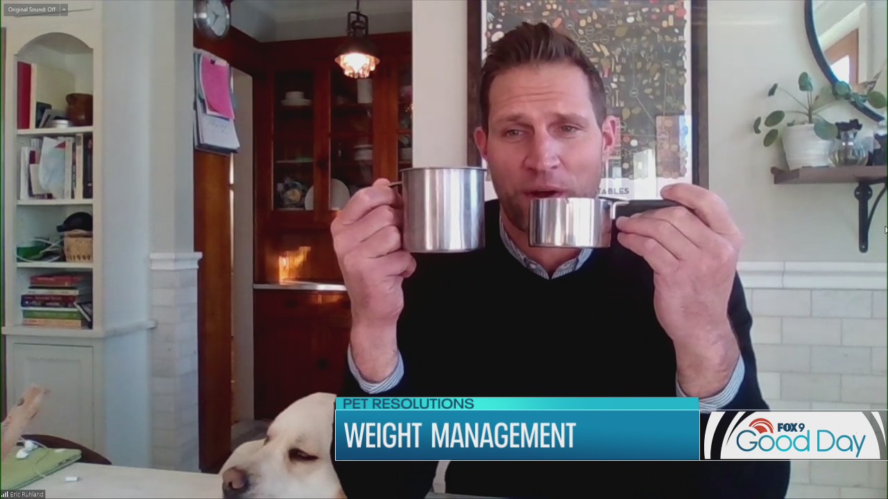 Resolutions for your furry friends (how much should you really be feeding Fido)