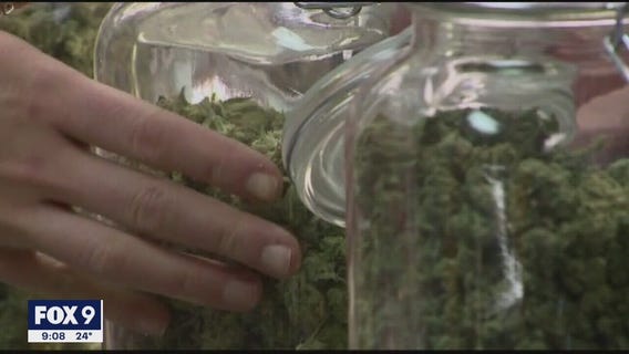 Minnesotans react to Gov. Walz's recreational marijuana budget proposal