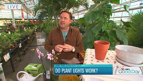 Ask the Garden Guy: Dale answers questions about plant lights, orchid blossoms & more