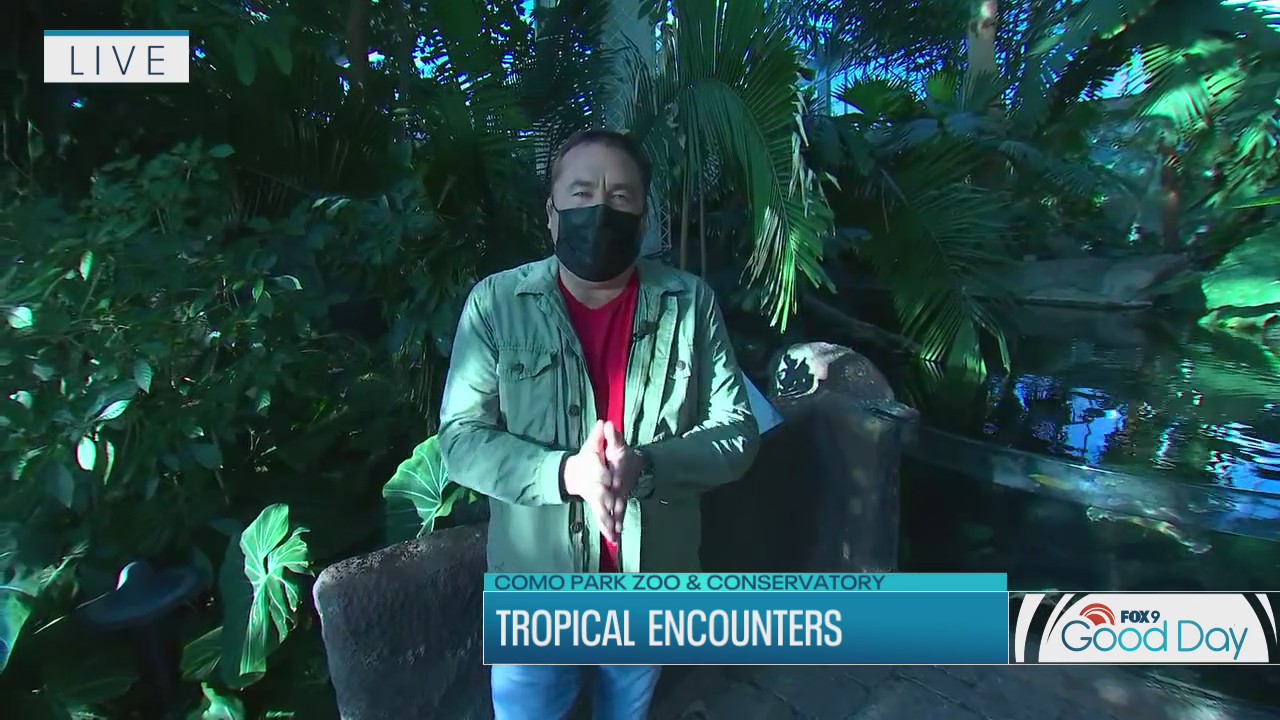 Escape the cold with a Tropical Encounter at Como Park