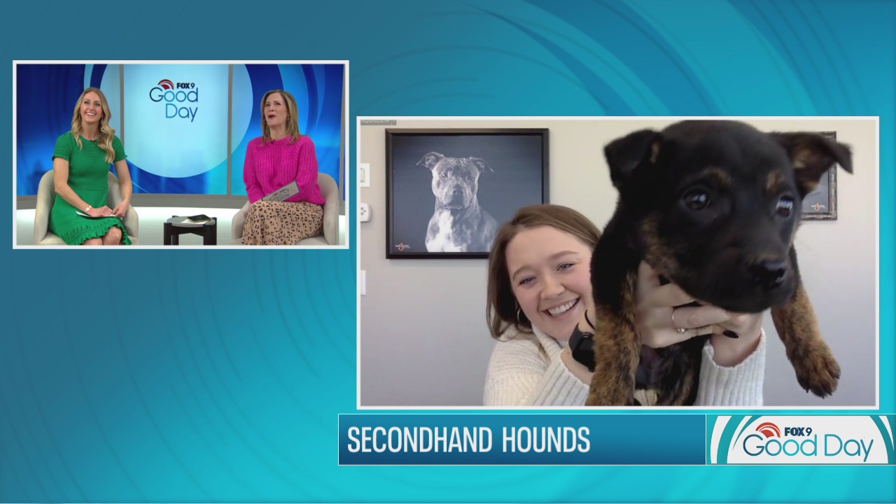 Puppy found frozen to the ground before nursed back to life