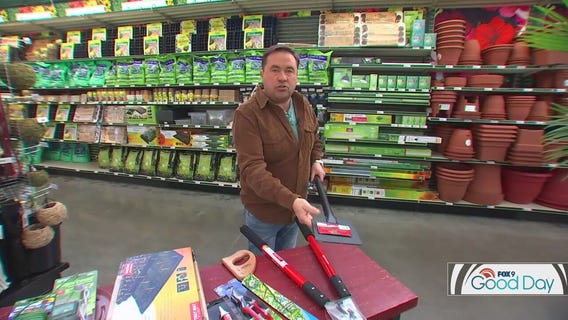 Winter gardening is a thing -- here are the tools you'll need to be successful