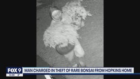 Man charged for theft of Bonsai trees worth more than $8K