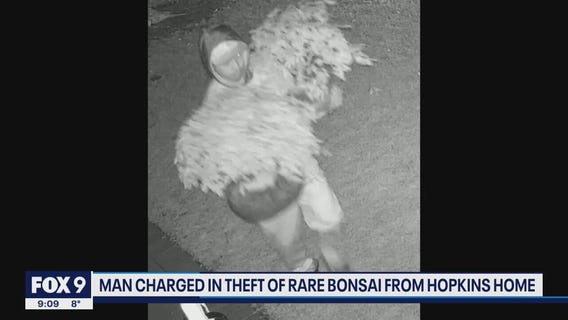 Man charged for theft of Bonsai trees worth more than $8K