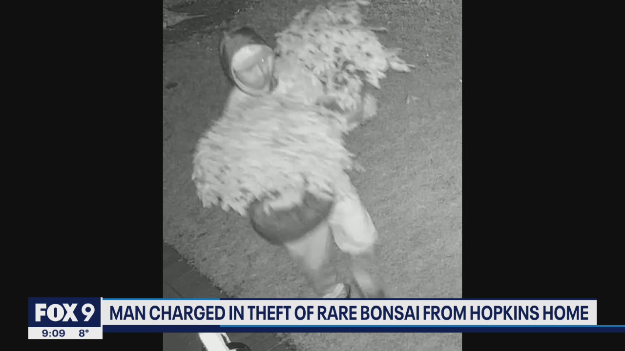 Man charged for theft of Bonsai trees worth more than $8K