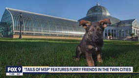 New book features dogs at Minneapolis landmarks