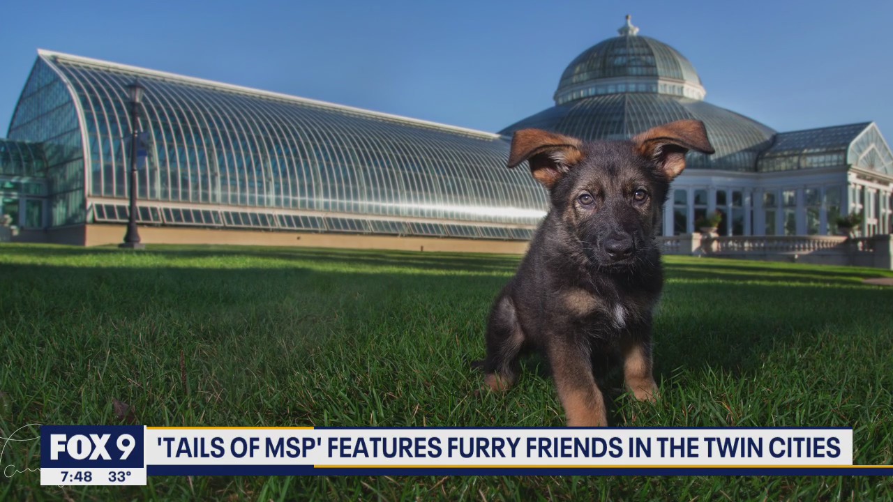 New book features dogs at Minneapolis landmarks