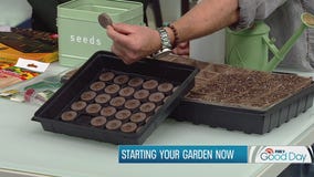 How to grow your garden from seeds (hint: get started now with these tips)