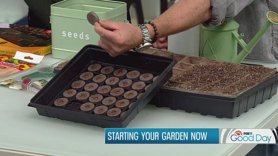 How to grow your garden from seeds (hint: get started now with these tips)