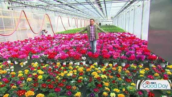 Garden Guy Dale K has the perfect spring fever cure