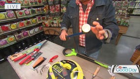 Refresh your garden toolbox for spring with these suggestions from Dale K