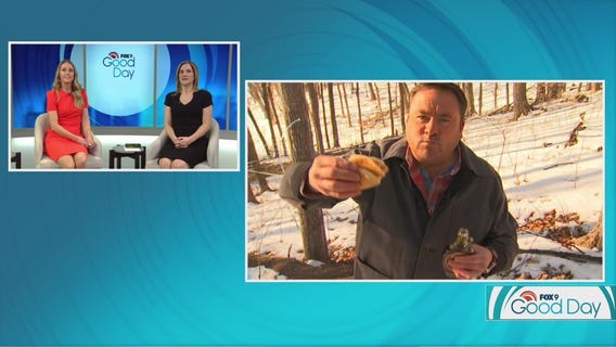 Dale K brings his own pancakes to maple syrup live shot
