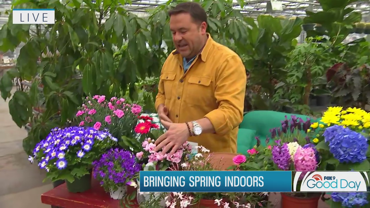Bringing a taste of spring indoors with Garden Guy Dale K