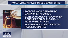 Anoka proposes downtown entertainment district